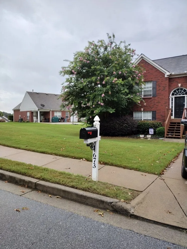 Affordable yard cleanup service for year-round maintenance across Conyers, GA - Absolute Lawn Perfection