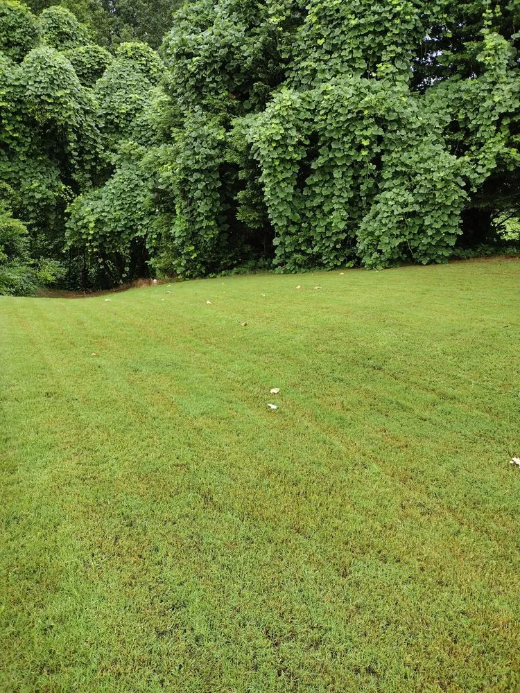 Professional lawn care service in Conyers, GA - Absolute Lawn Perfection