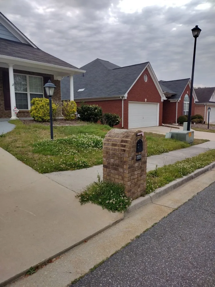 Professional lawn care service in Conyers, GA - Absolute Lawn Perfection