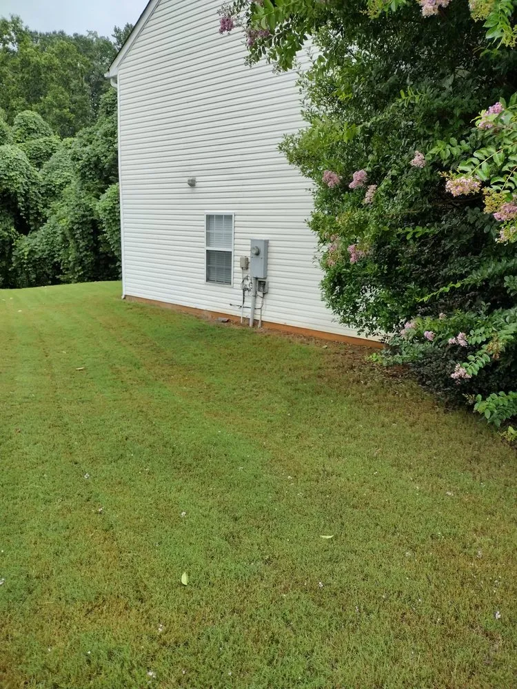 Professional garden landscaping in Conyers, GA by Absolute Lawn Perfection