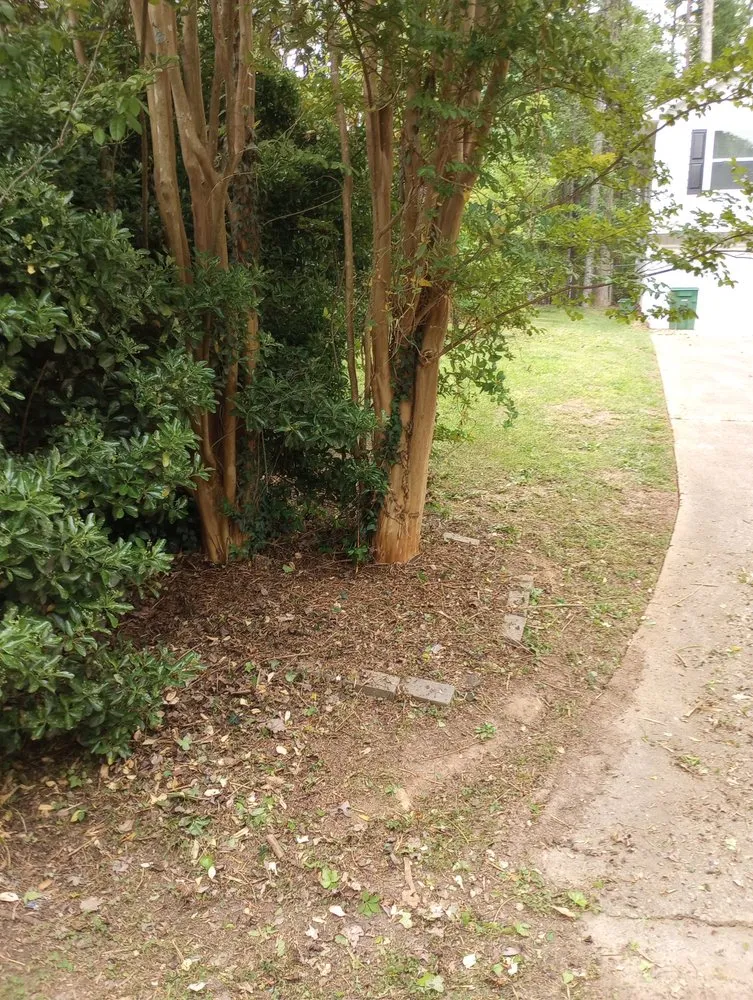 Reliable lawn mowing service for homes across Conyers, GA - Absolute Lawn Perfection