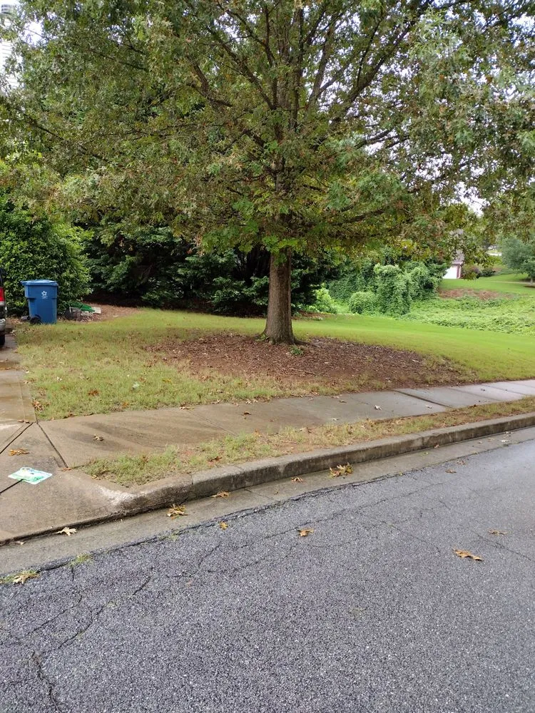 Trusted outdoor landscaping in Conyers, GA by Absolute Lawn Perfection