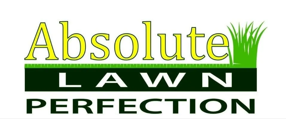 Expert outdoor landscaping in Wentzville, MO by Absolute Lawn Perfection