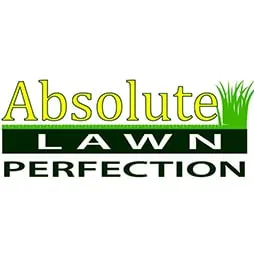 Affordable lawn mowing service for year-round maintenance in Wentzville, MO by Absolute Lawn Perfection