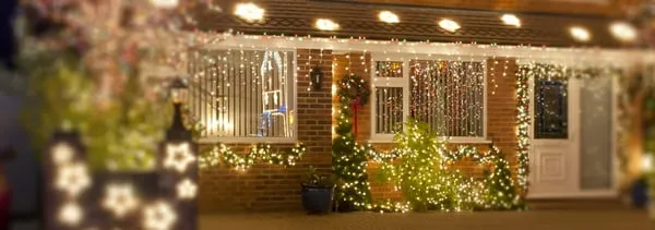 Absolute Lawn Perfection Logo