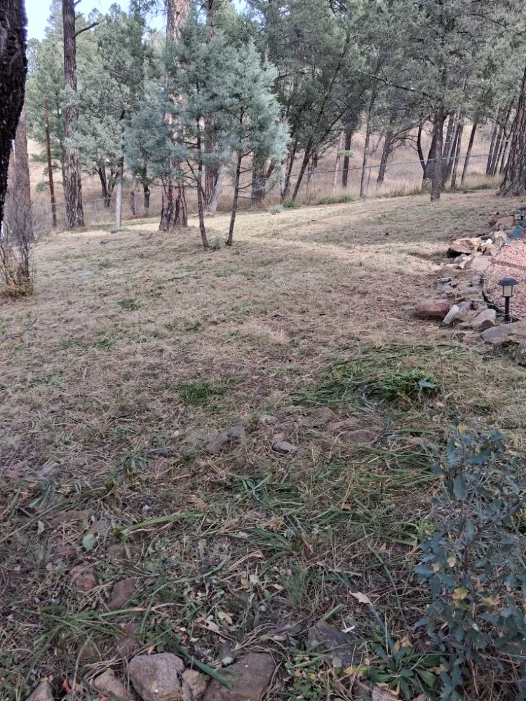 Top-rated landscaping services for homes across Alto, NM - Absolute Lawn Service