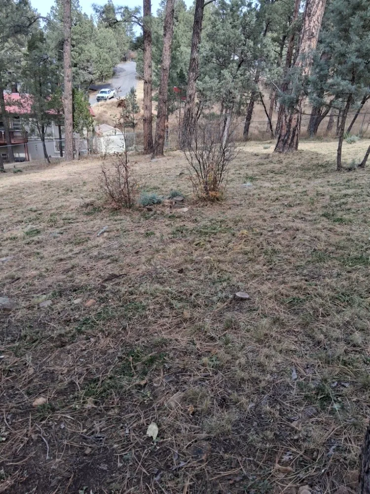 Affordable residential landscaping in Alto, NM by Absolute Lawn Service