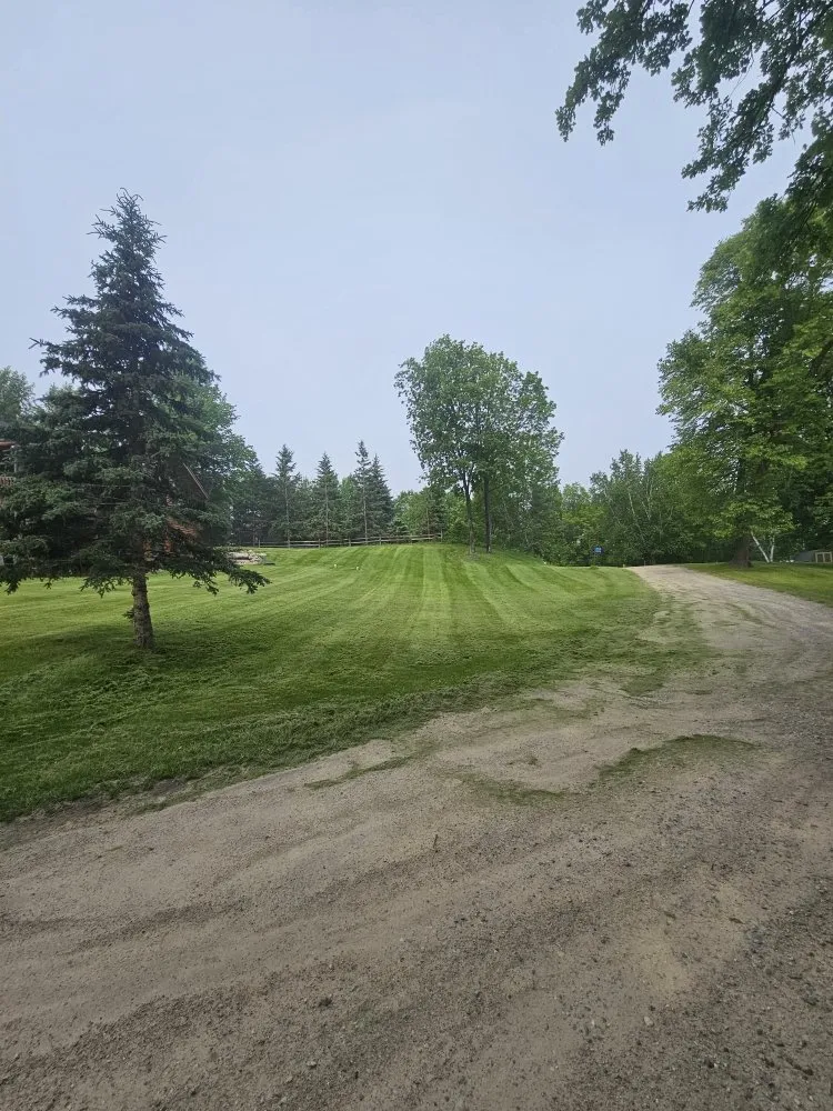 Top-rated yard cleanup service in Cass Lake, MN by Absolute Lawn Service