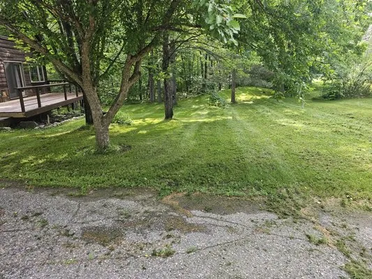 Absolute Lawn Service
