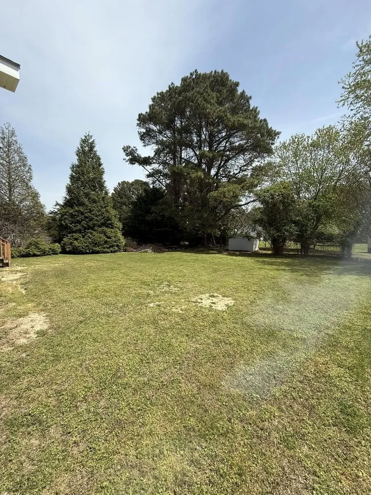 Local yard cleanup service in Greenbackville, VA - Absolute Lawn Works
