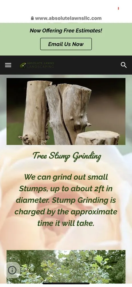 Expert lawn care service in Benson, NC by Absolute Lawns Landscaping