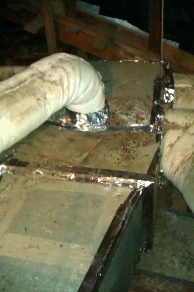 Affordable landscaping services in Dallas, TX by Absolute Neighborhood Yard Boys