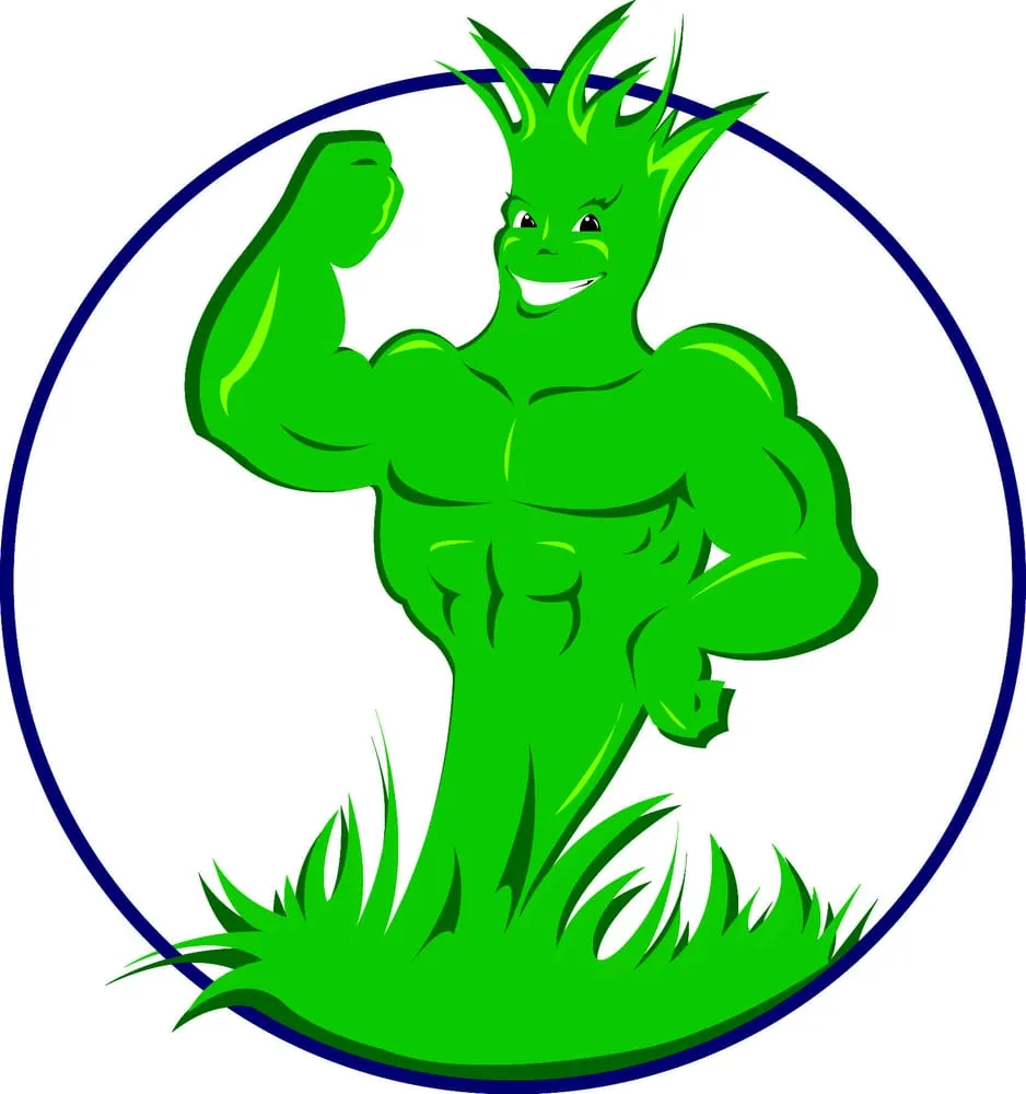 Expert outdoor landscaping for outdoor upgrades in Canal Winchester, OH by Absolute Oasis Lawn Care