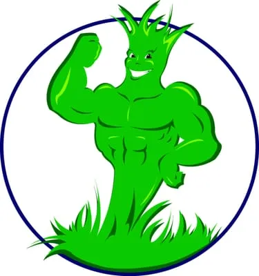 Absolute Oasis Lawn Care