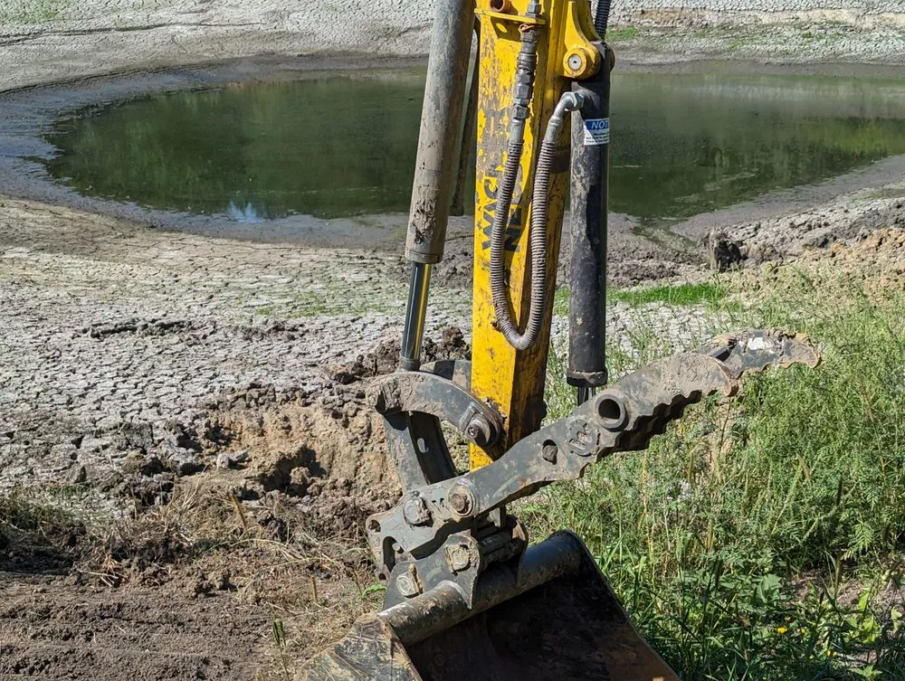 Expert yard cleanup service in Osceola, IA - Absolute Outdoor Service