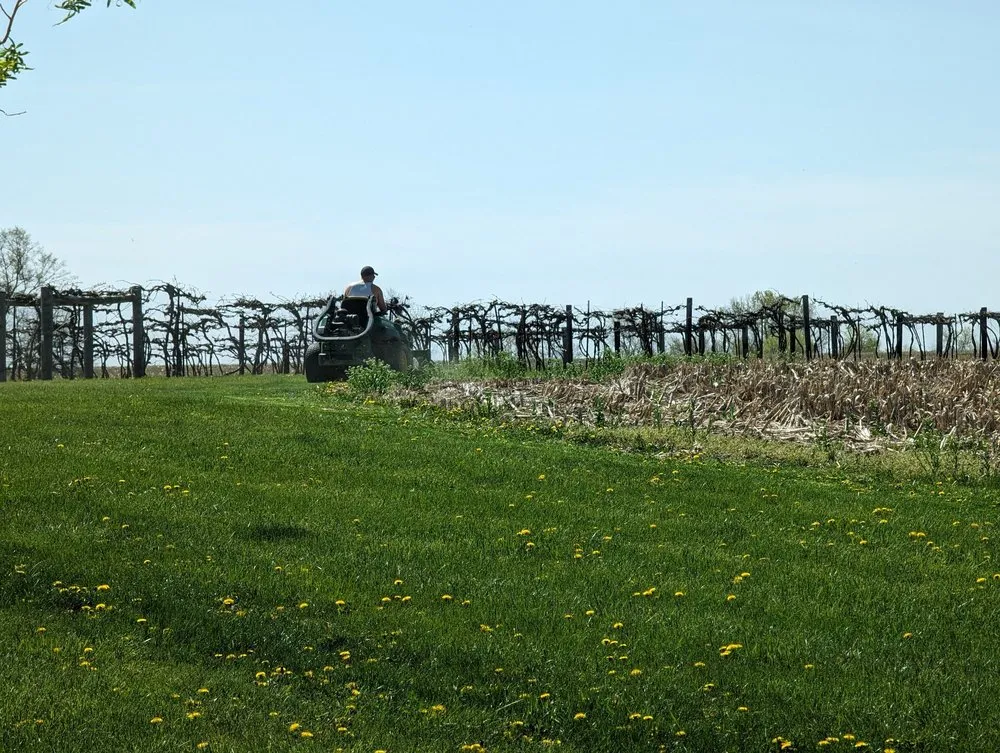 Professional lawn care service in Osceola, IA by Absolute Outdoor Service