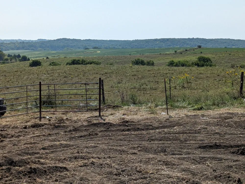 Reliable residential landscaping in Osceola, IA - Absolute Outdoor Service