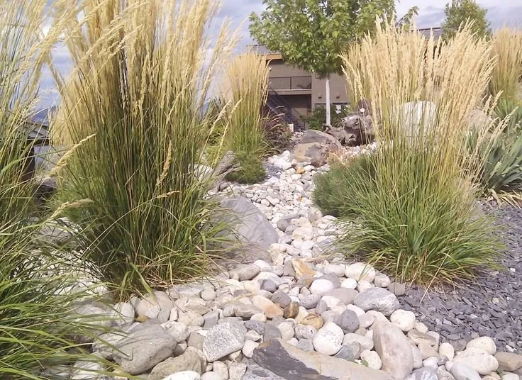 Expert lawn mowing service for outdoor upgrades across Denver, CO - Absolute Property Improvement