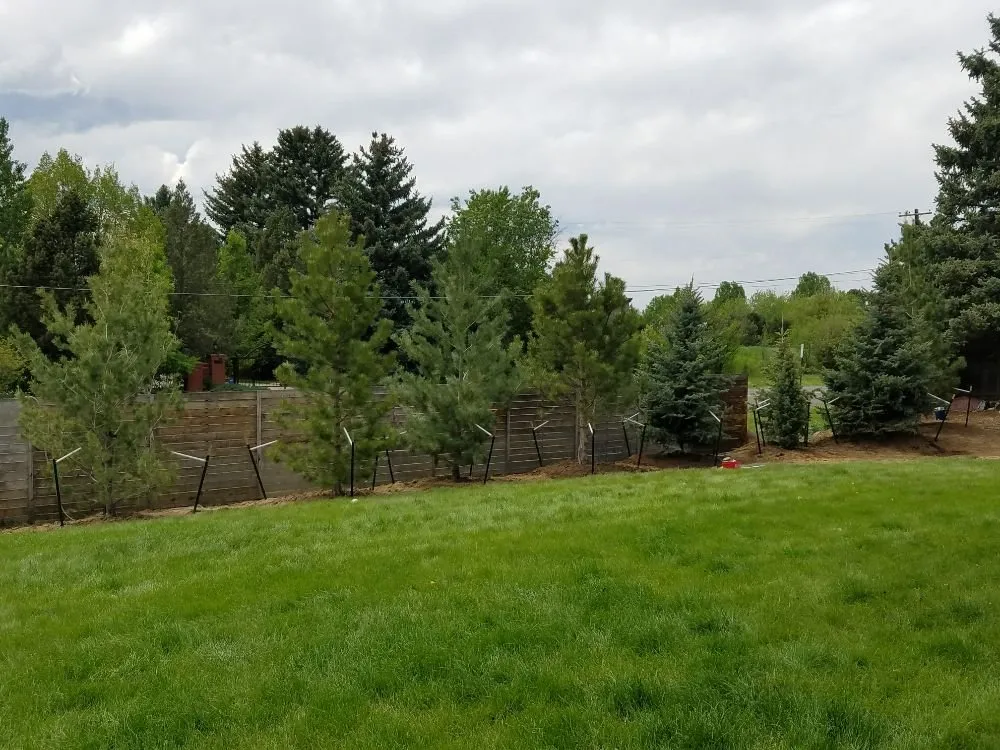 Affordable residential landscaping experts serving Denver, CO - Absolute Property Improvement