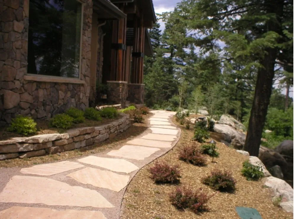 Local yard maintenance for residential properties across Denver, CO - Absolute Property Improvement