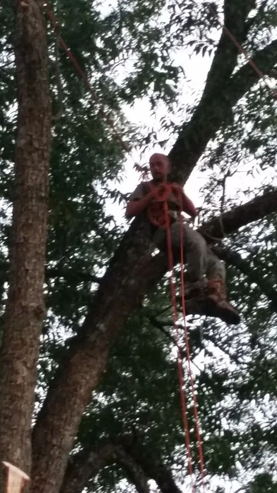 Top-rated yard maintenance in Inman, SC by Absolute Property Management