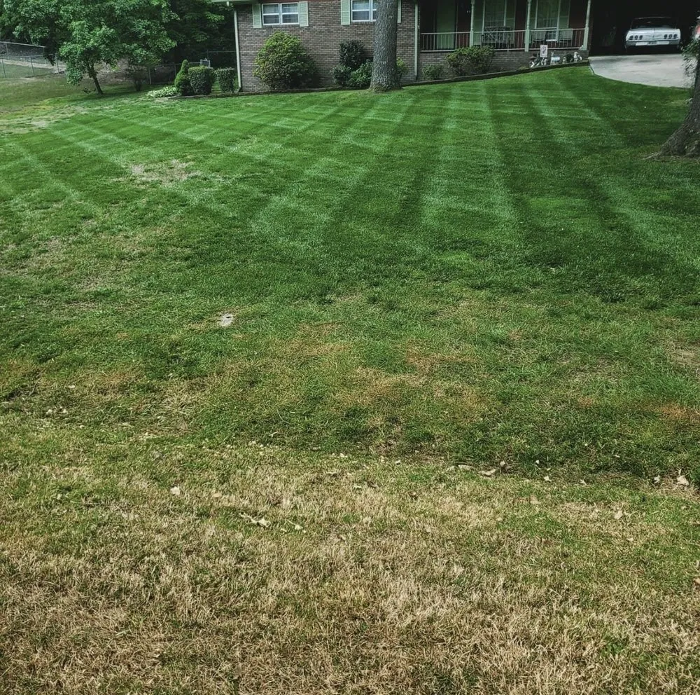 Custom garden landscaping for homes across Talbott, TN - Absolute Property Management