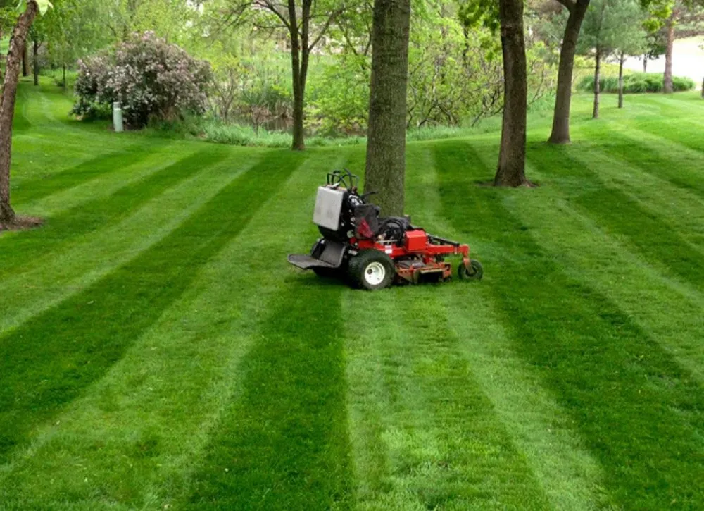 Trusted yard maintenance experts serving Talbott, TN - Absolute Property Management