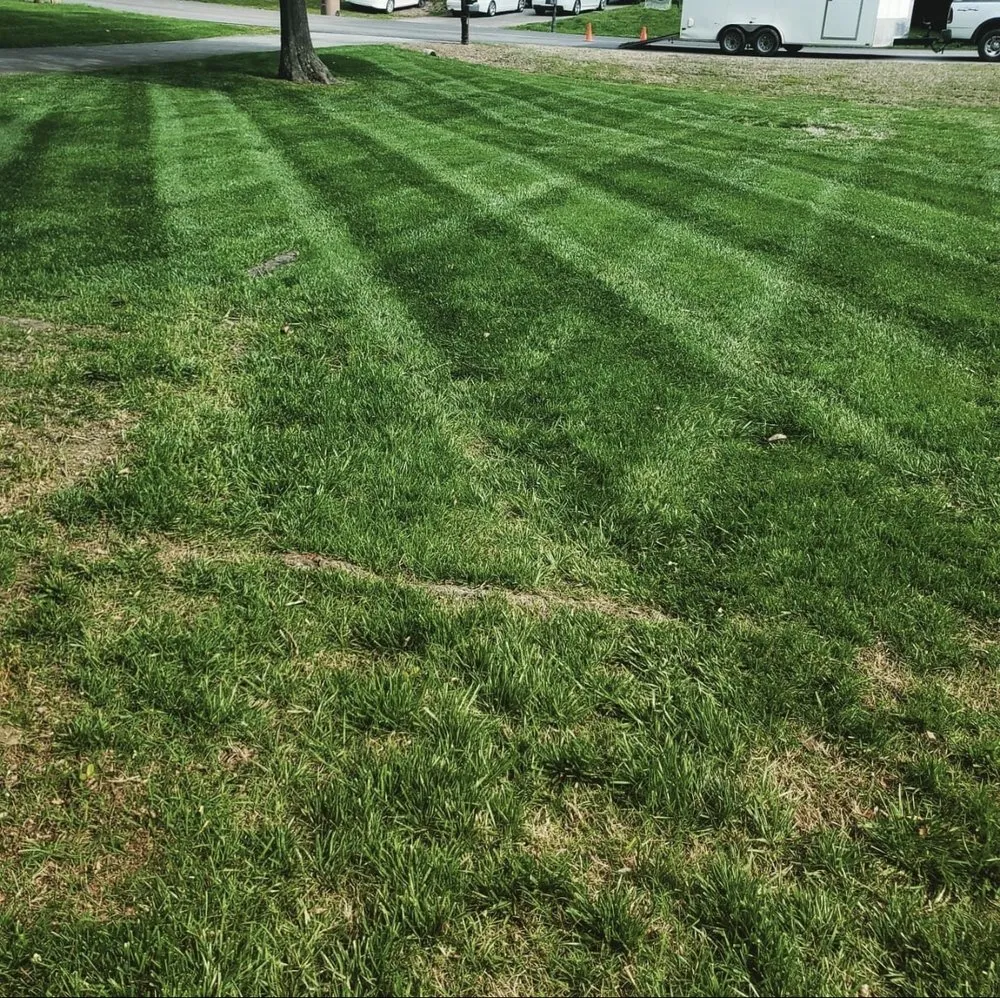 Trusted yard cleanup service near you across Talbott, TN - Absolute Property Management