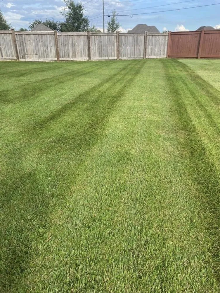 Top-rated yard cleanup service in Talbott, TN by Absolute Property Management