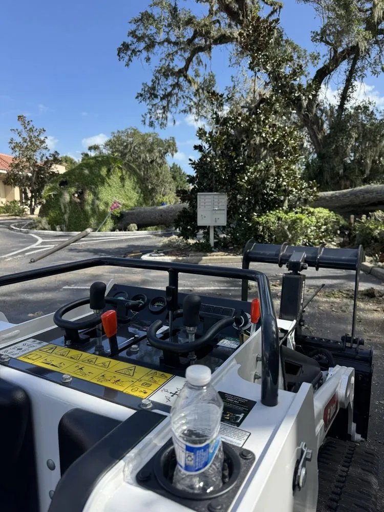 Trusted landscape installation with custom design across Port Orange, FL - Absolute Quality Landscape