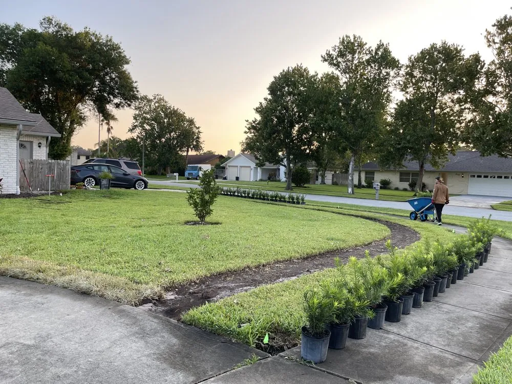 Reliable yard maintenance experts serving Port Orange, FL - Absolute Quality Landscape