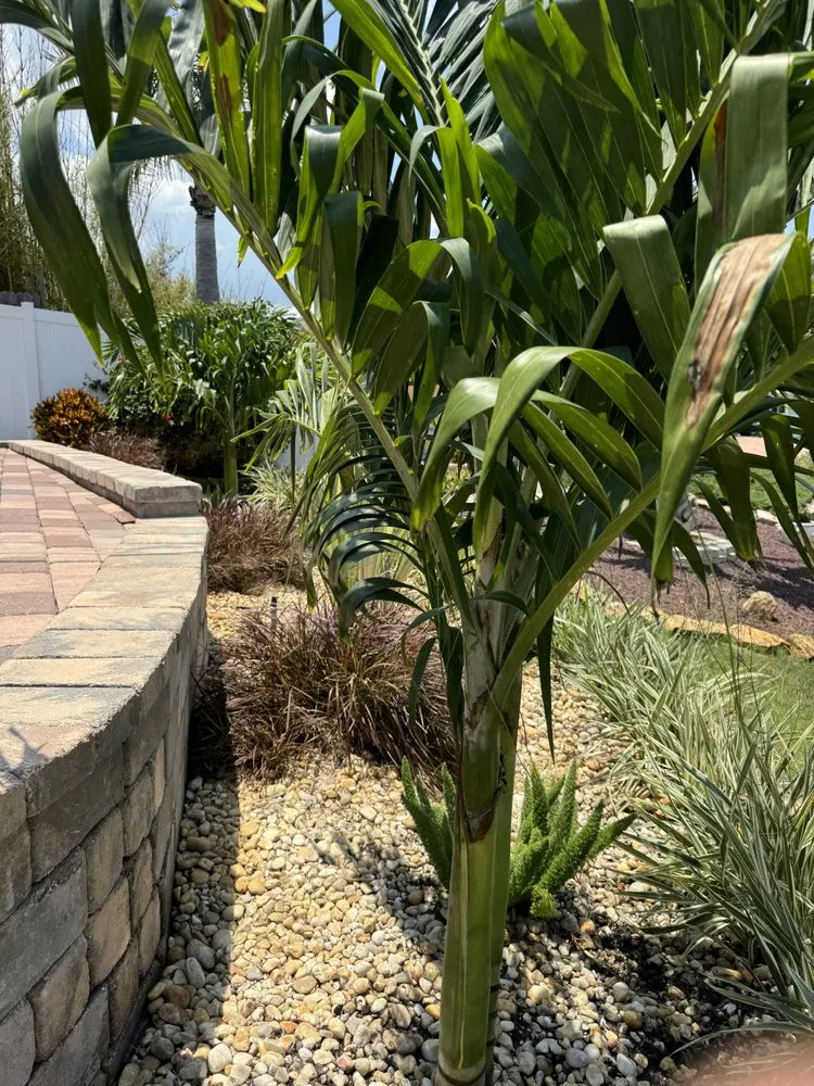 Custom outdoor landscaping for year-round maintenance in Port Orange, FL by Absolute Quality Landscape