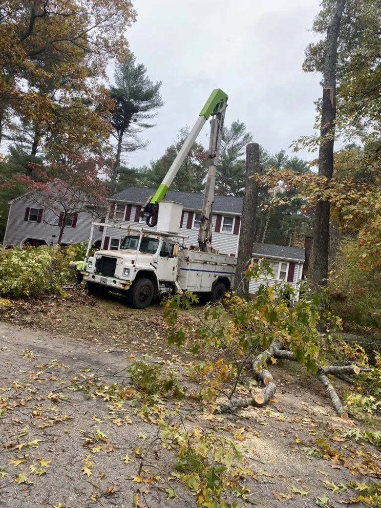 Professional garden landscaping in Middleborough, MA by Absolute Recycling Enterprises