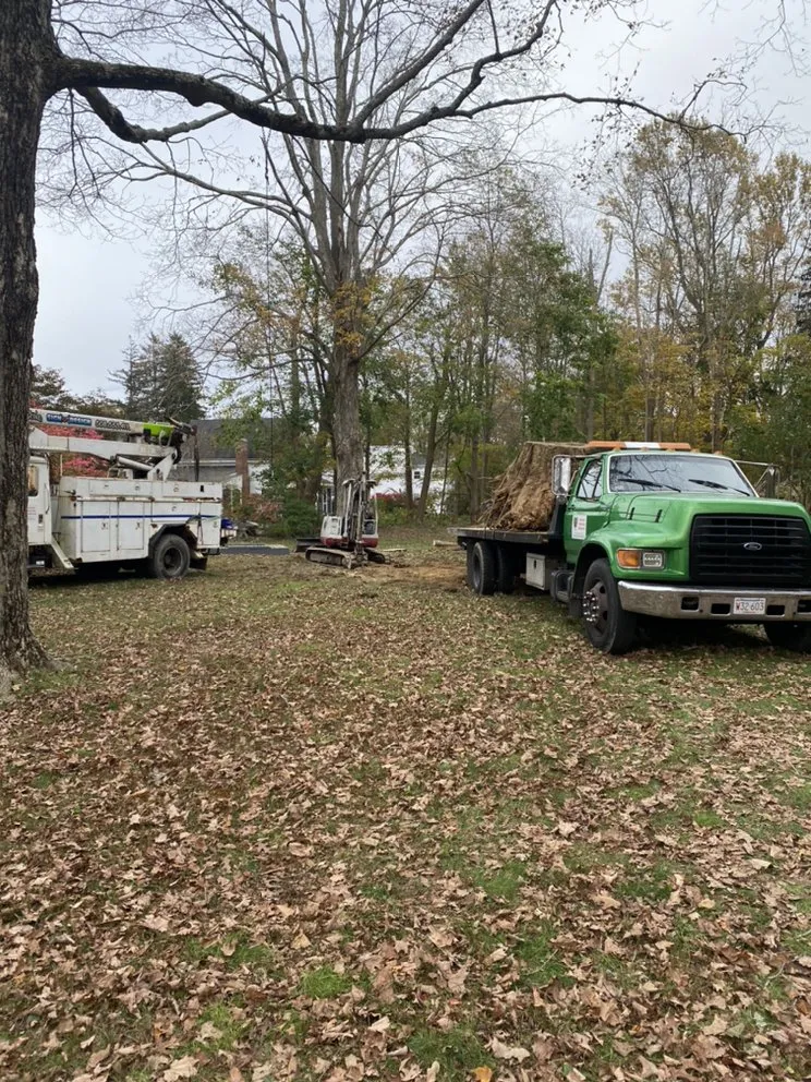 Custom landscaping services in Middleborough, MA by Absolute Recycling Enterprises