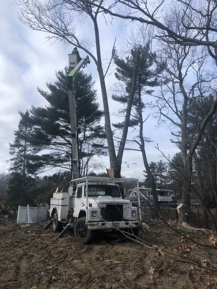 Top-rated lawn care service for beautiful yards in Middleborough, MA by Absolute Recycling Enterprises