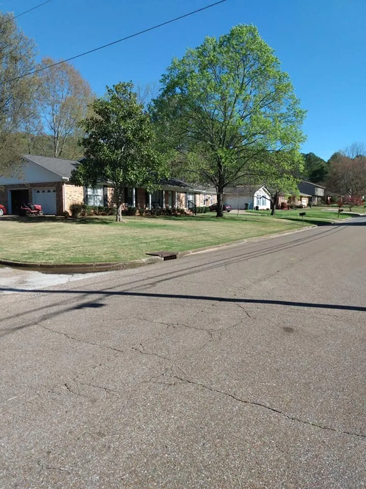 Top-rated yard maintenance for outdoor upgrades across Huntsville, AL - Absolute Sheen