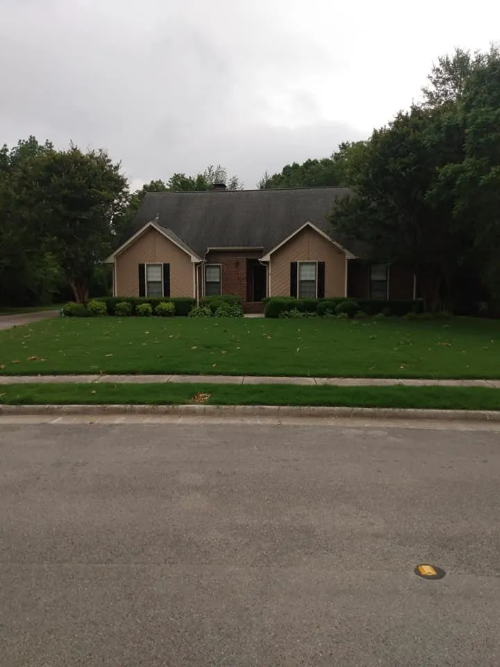 Custom landscape installation for residential properties across Huntsville, AL - Absolute Sheen