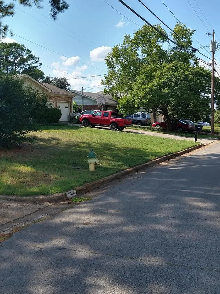 Professional landscape design in Huntsville, AL - Absolute Sheen