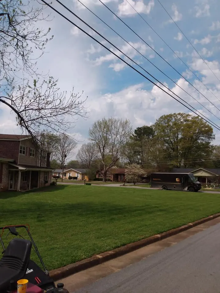 Local yard cleanup service near you in Huntsville, AL by Absolute Sheen