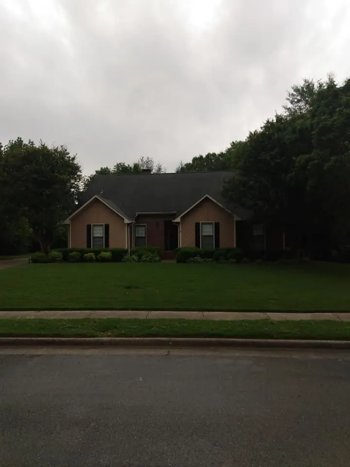 Professional yard maintenance with custom design across Huntsville, AL - Absolute Sheen