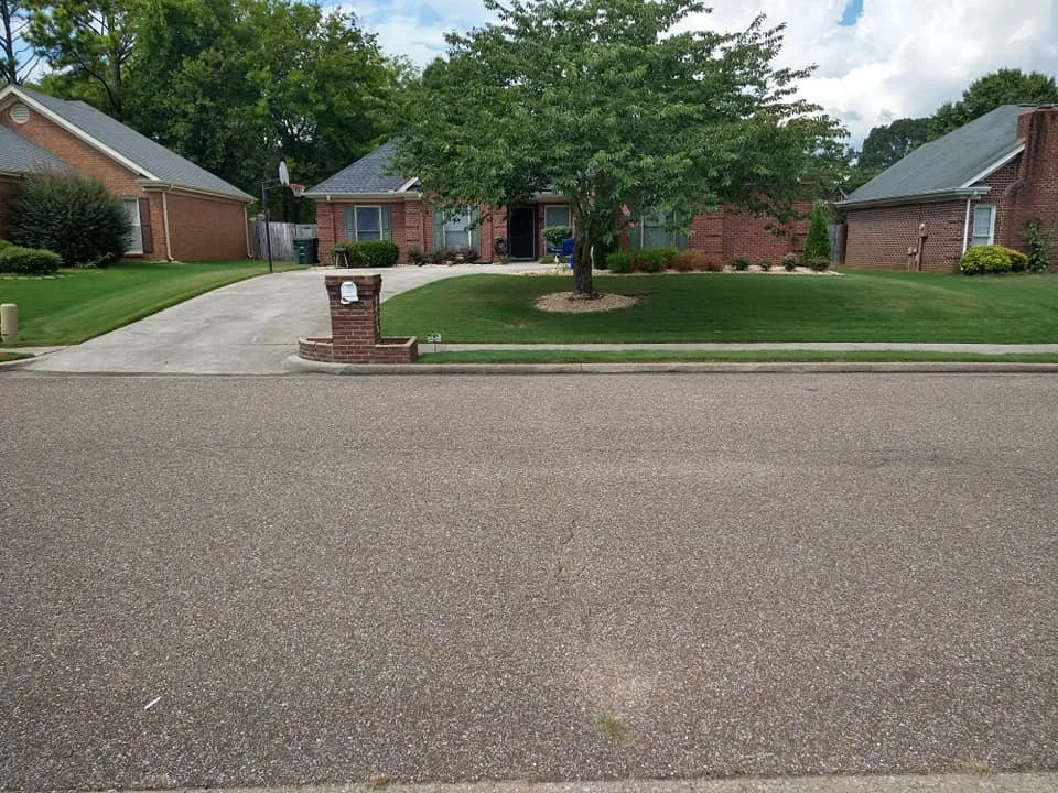 Trusted residential landscaping experts serving Huntsville, AL - Absolute Sheen