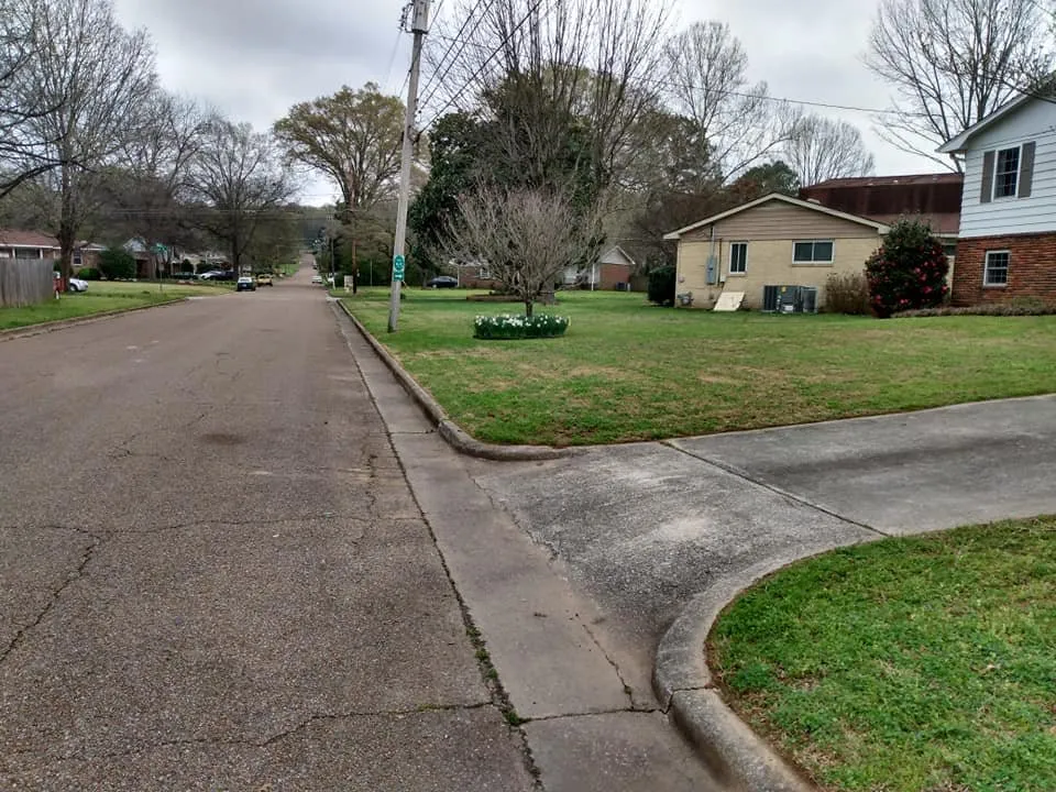 Trusted lawn care service for year-round maintenance in Huntsville, AL by Absolute Sheen