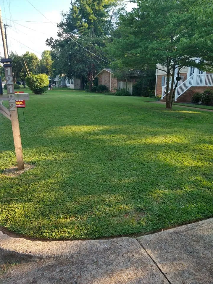 Affordable landscape design in Huntsville, AL - Absolute Sheen