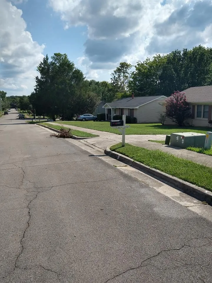 Expert lawn care service for homes across Huntsville, AL - Absolute Sheen