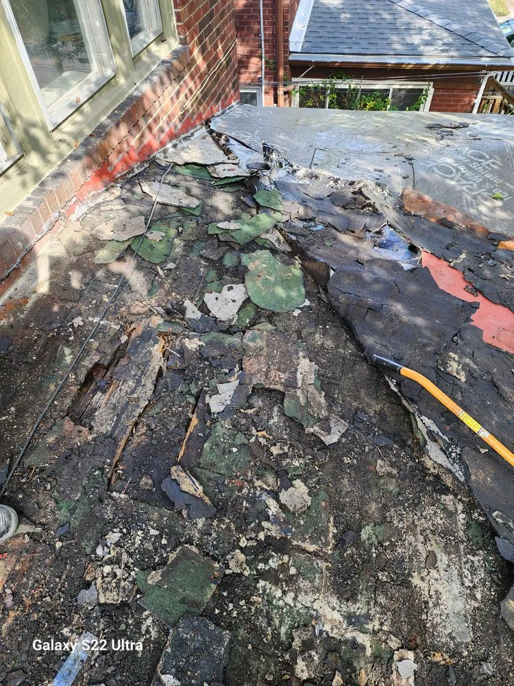 Custom yard maintenance in Pittsburgh, PA - Absolute Solution