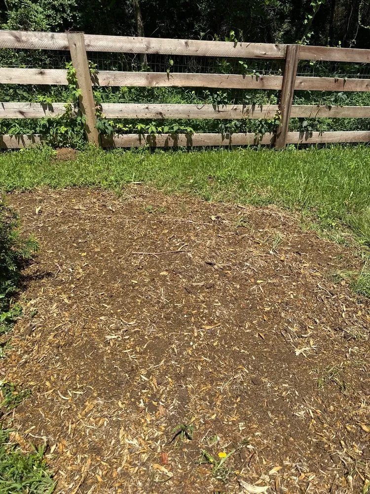 Expert outdoor landscaping for residential properties across Crestwood, KY - Absolute Stump Grinding