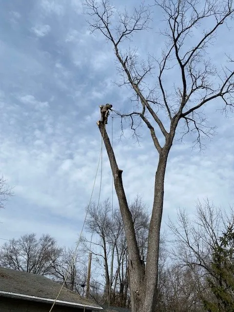 Affordable lawn mowing service with custom design across Crestwood, KY - Absolute Stump Grinding