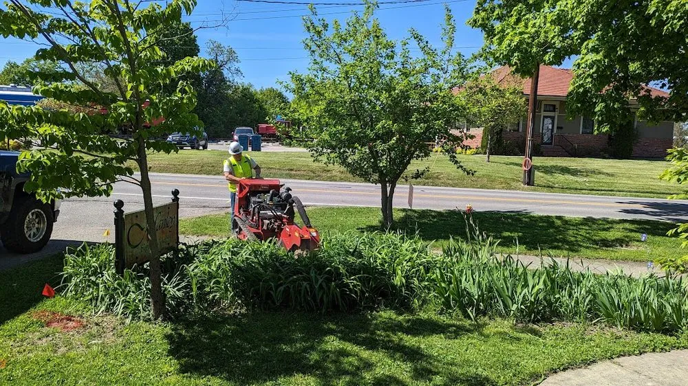 Expert yard cleanup service with custom design across Crestwood, KY - Absolute Stump Grinding