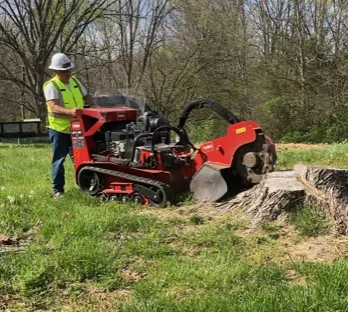 Top-rated lawn care service in Crestwood, KY - Absolute Stump Grinding