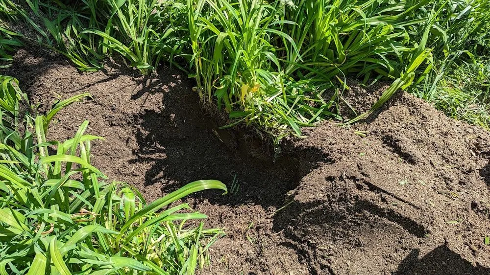 Professional residential landscaping experts serving Crestwood, KY - Absolute Stump Grinding